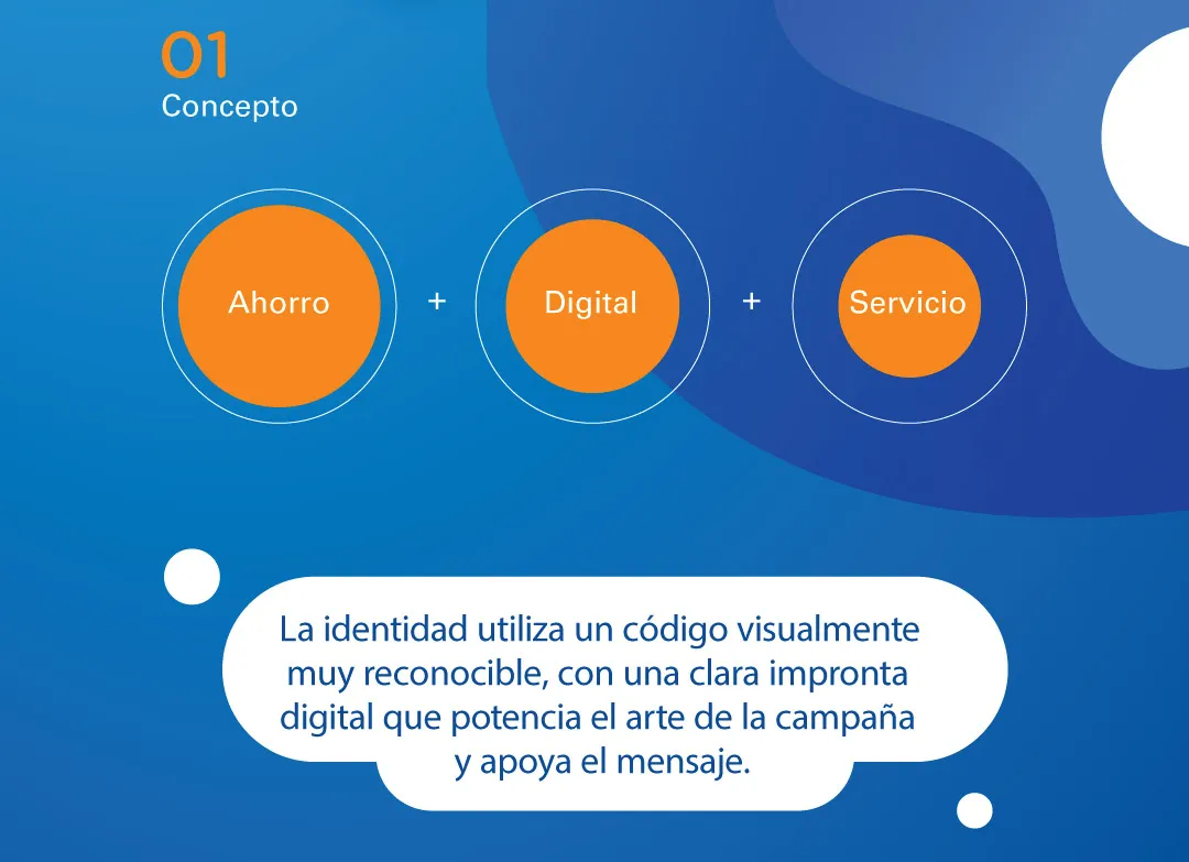 Andesmar Cargas: Concepto