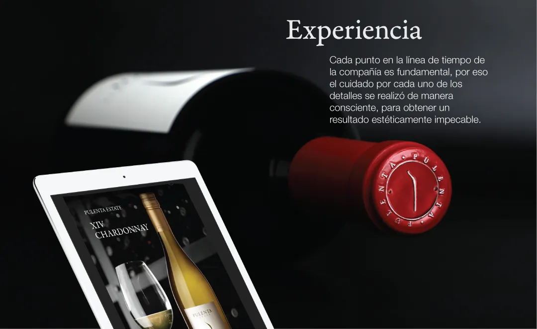 Pulenta Estate: Experiencia